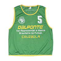 ビブス 10枚セット GRN F