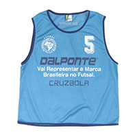 ビブス 10枚セット SAX F